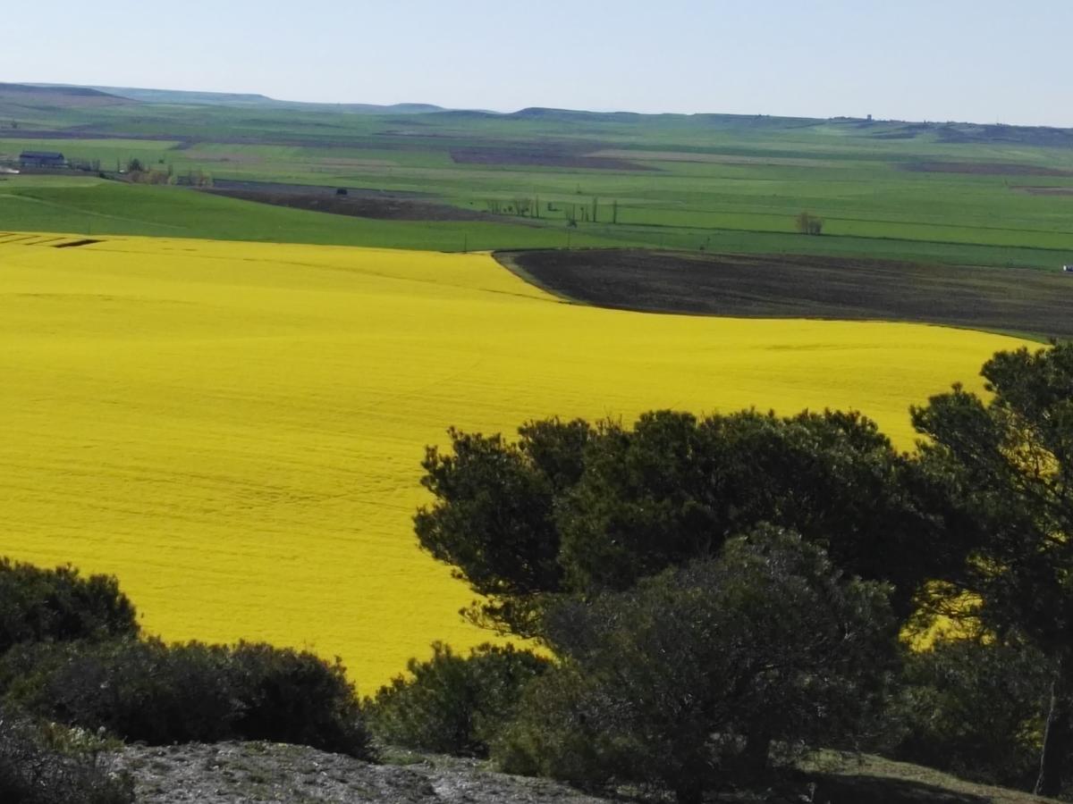 La Aldea Colorada Casa Rural Mota del Marques ภายนอก รูปภาพ