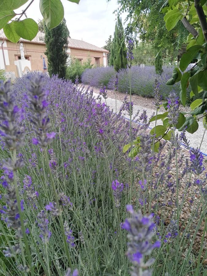 La Aldea Colorada Casa Rural Mota del Marques ภายนอก รูปภาพ